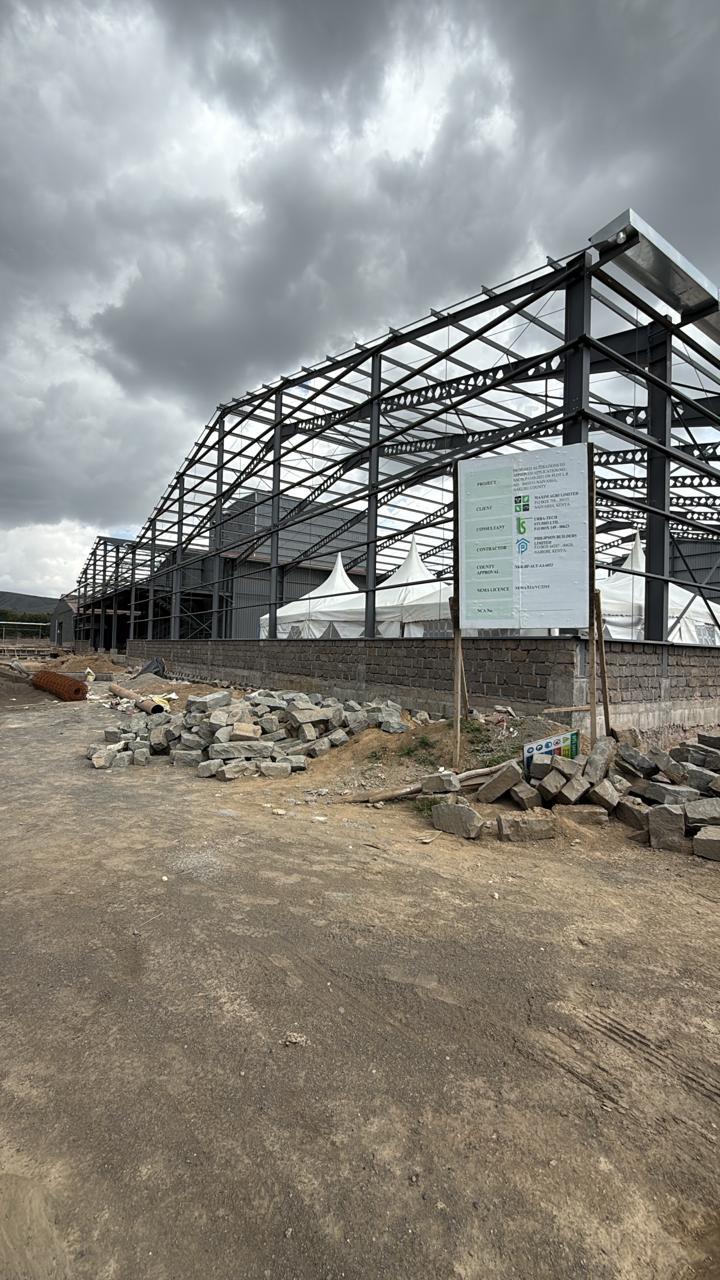 Steel structure framework